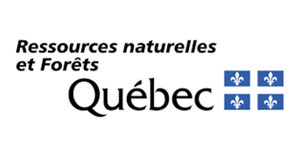 Logotype du Ministère des ressources naturelles et des forêts du Québec dont l'hyperlien mène vers son site Web.